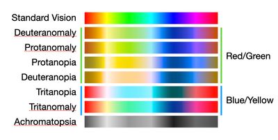 Diagram of the 8 types of color vision